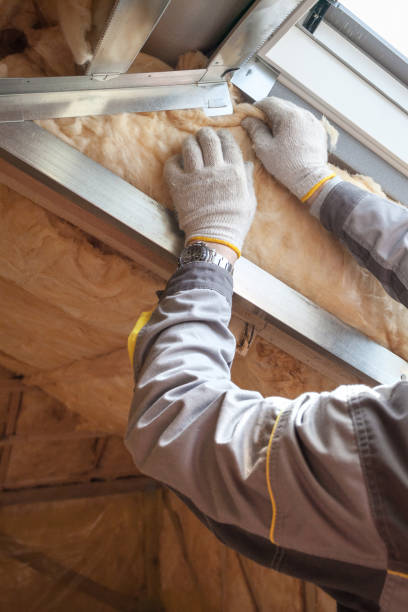 Best Insulation Maintenance and Repair in Fair Oaks, CA